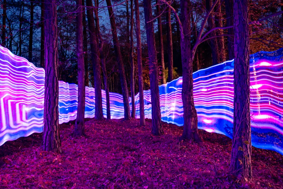 Light painting in the forest to illustrate the balance between technology and sustainable growth