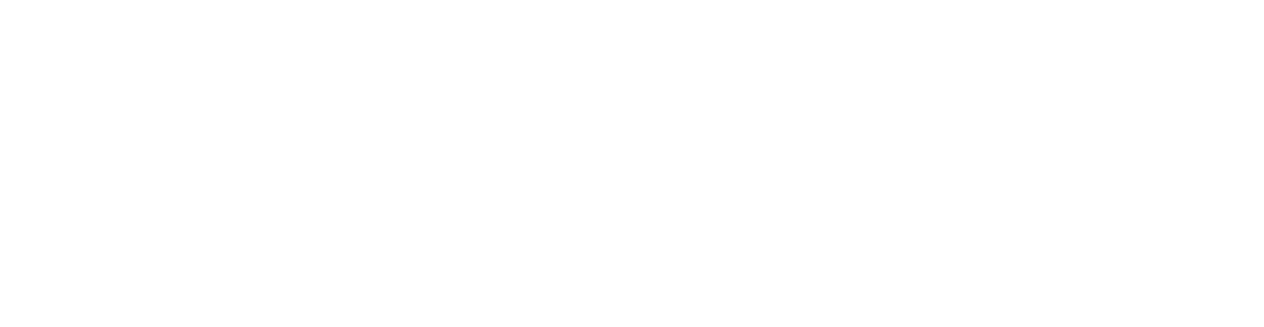 WEBSITETOON